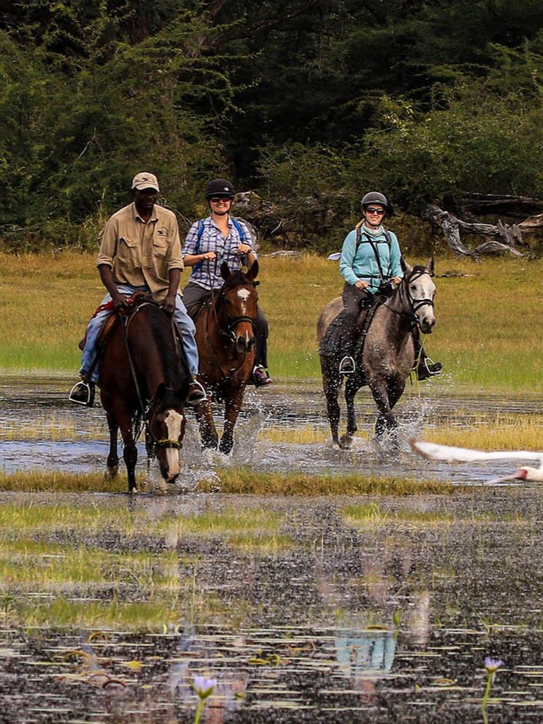 Horse Back Safaris